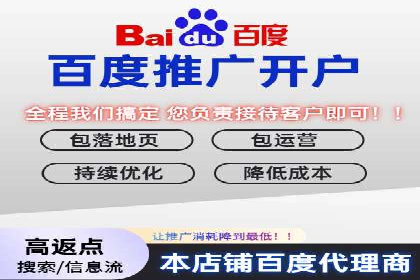 竞价推广公司案例分析：精准投放策略助力企业业绩翻倍